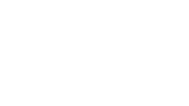 Festival De Cannes